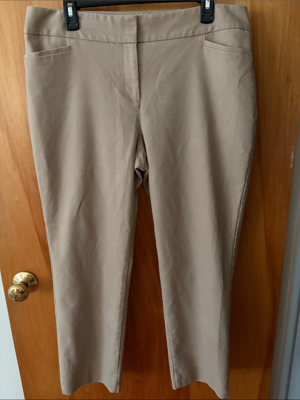 Talbots Straight-Leg Pants in Khaki